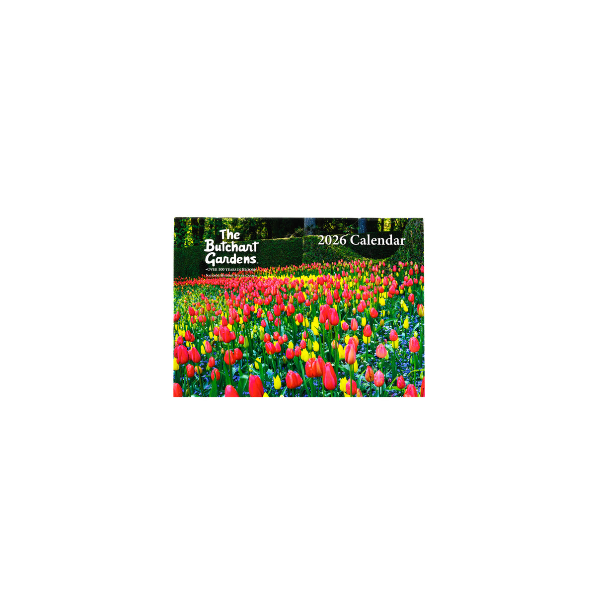 CALENDAR POCKET 2026 - ON SALE 25% OFF