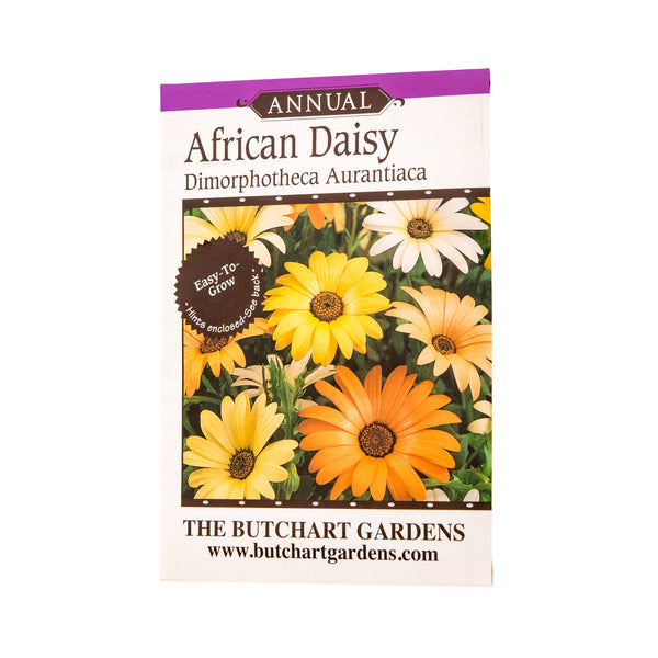 african daisy flower seeds SEED AFRICAN DAISY – The Butchart Gardens Seed & Gift Store