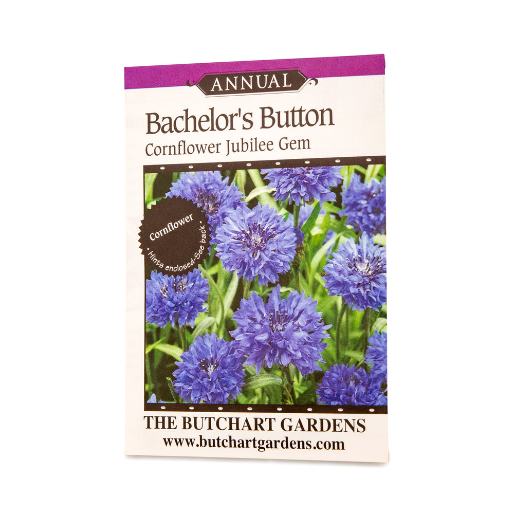 SEED BACHELORS BUTTON JUBILEE