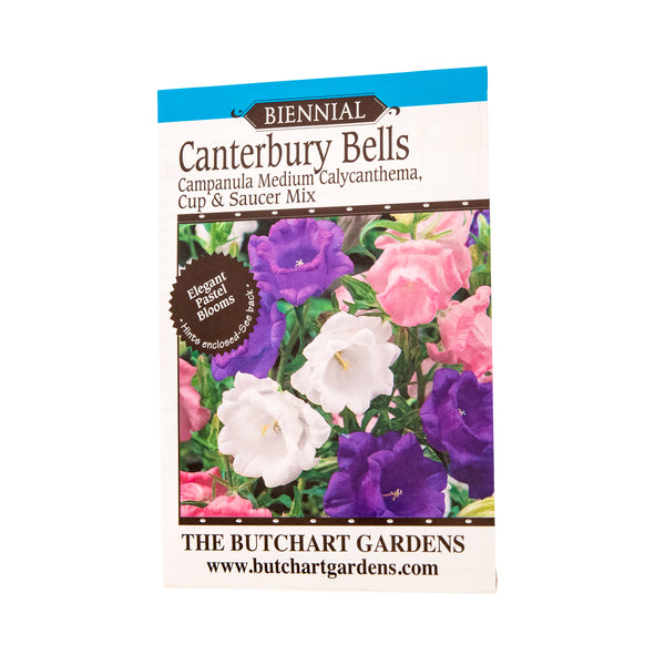 canterbury bell flower seeds SEED CANTERBURY BELL – The Butchart Gardens Seed & Gift Store