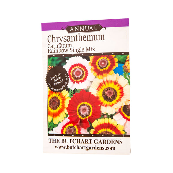 chrysanthemum flower seeds SEED CHRYSANTHEMUM – The Butchart Gardens Seed & Gift Store