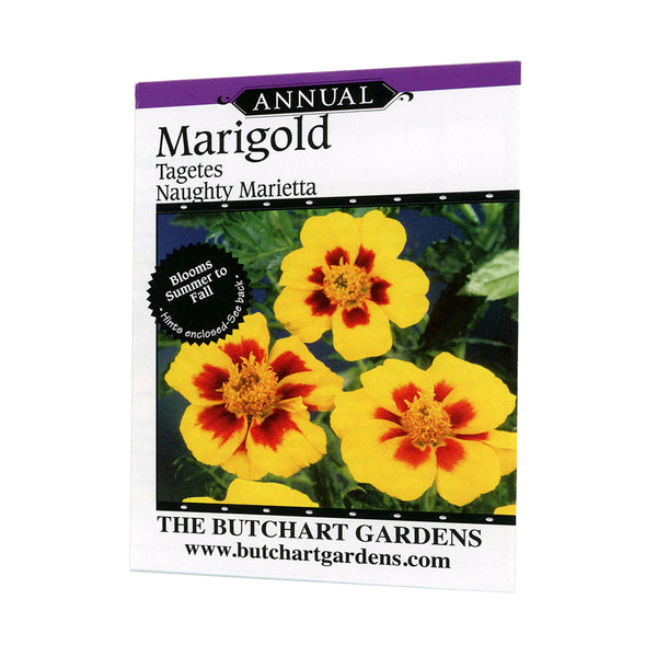 naughty marietta marigold seeds SEED MARIGOLD MARIETTA – The Butchart Gardens Seed & Gift Store