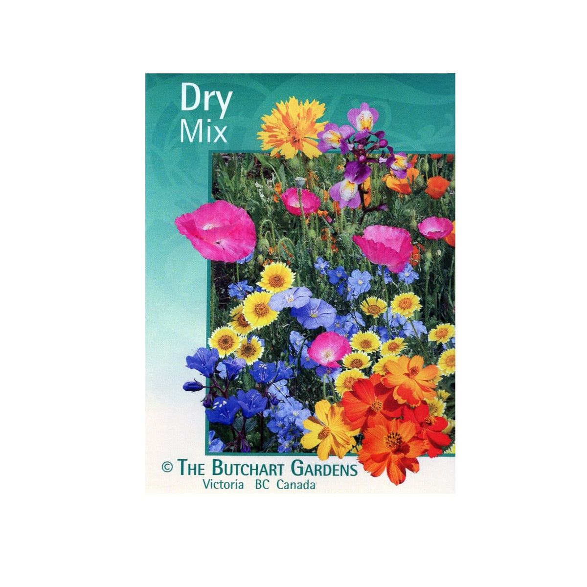 SEED MIX DRY