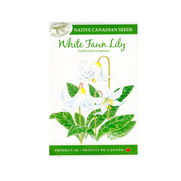white lily flower seeds SEEDS WHITE FAWN LILY – The Butchart Gardens Seed & Gift Store