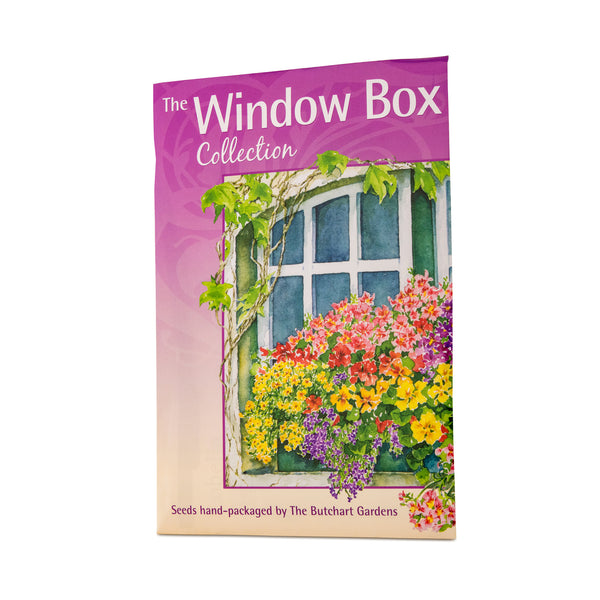 WINDOW BOX COLLECTION