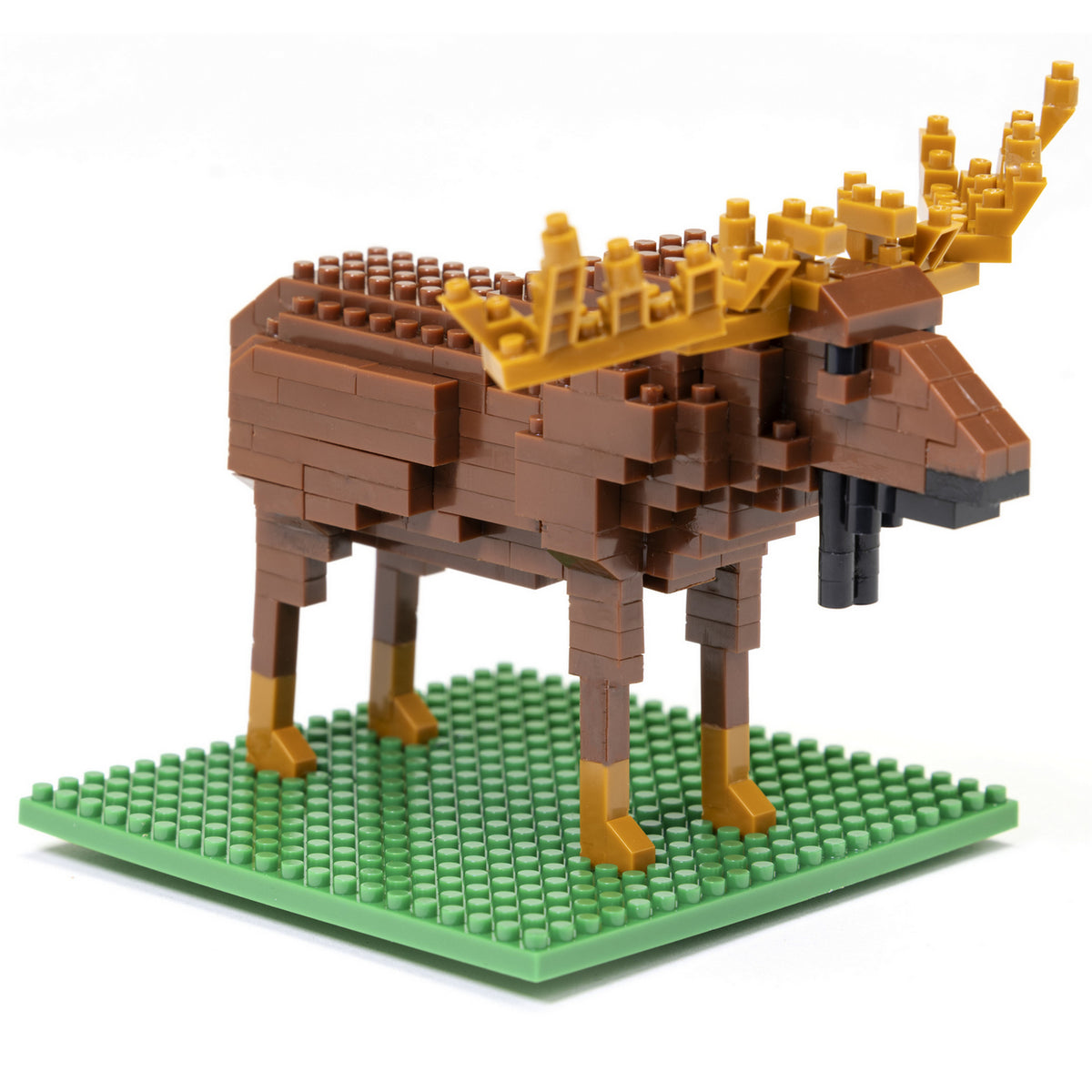 BLOCK SET MOOSE