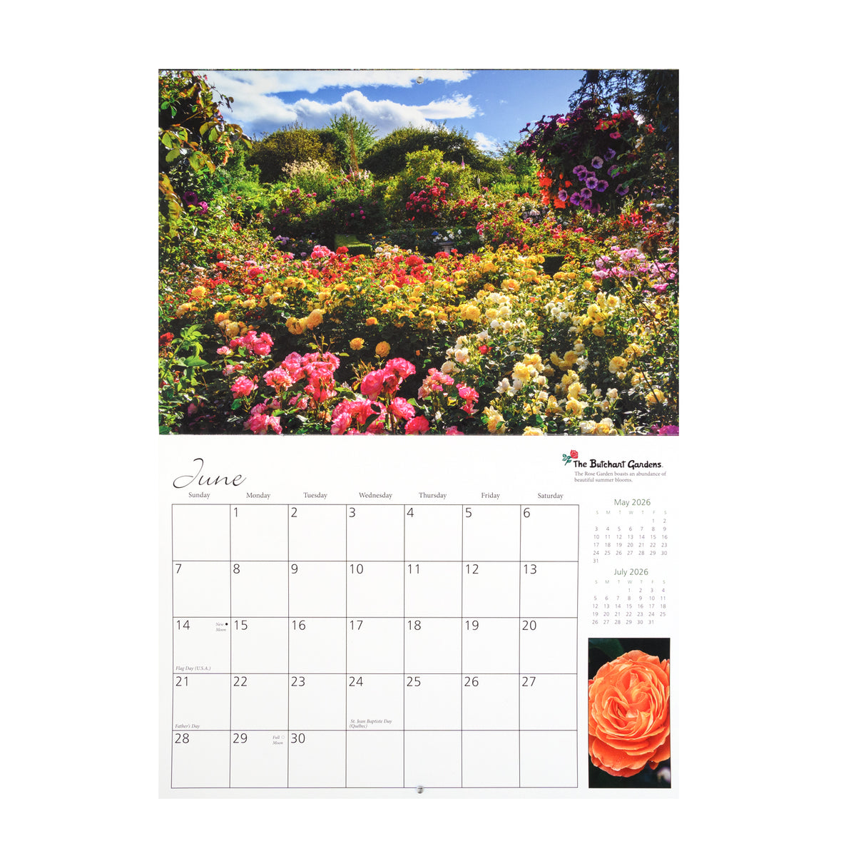CALENDAR STAPLE 2026 - ON SALE 25% OFF