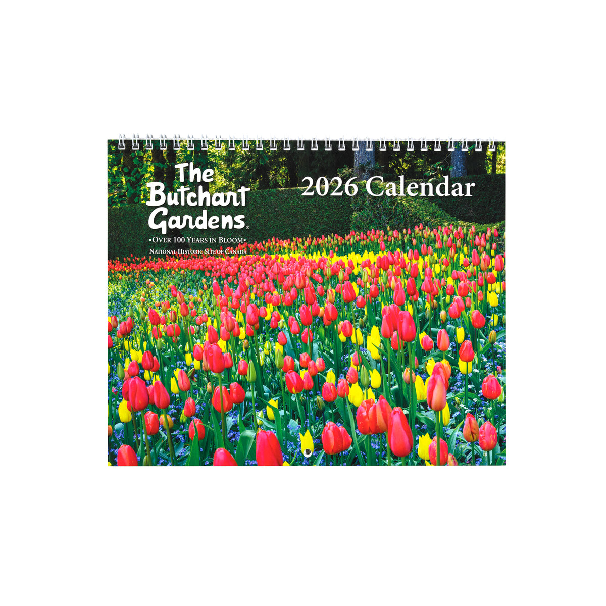 CALENDAR COIL 2026 - ON SALE 25% OFF