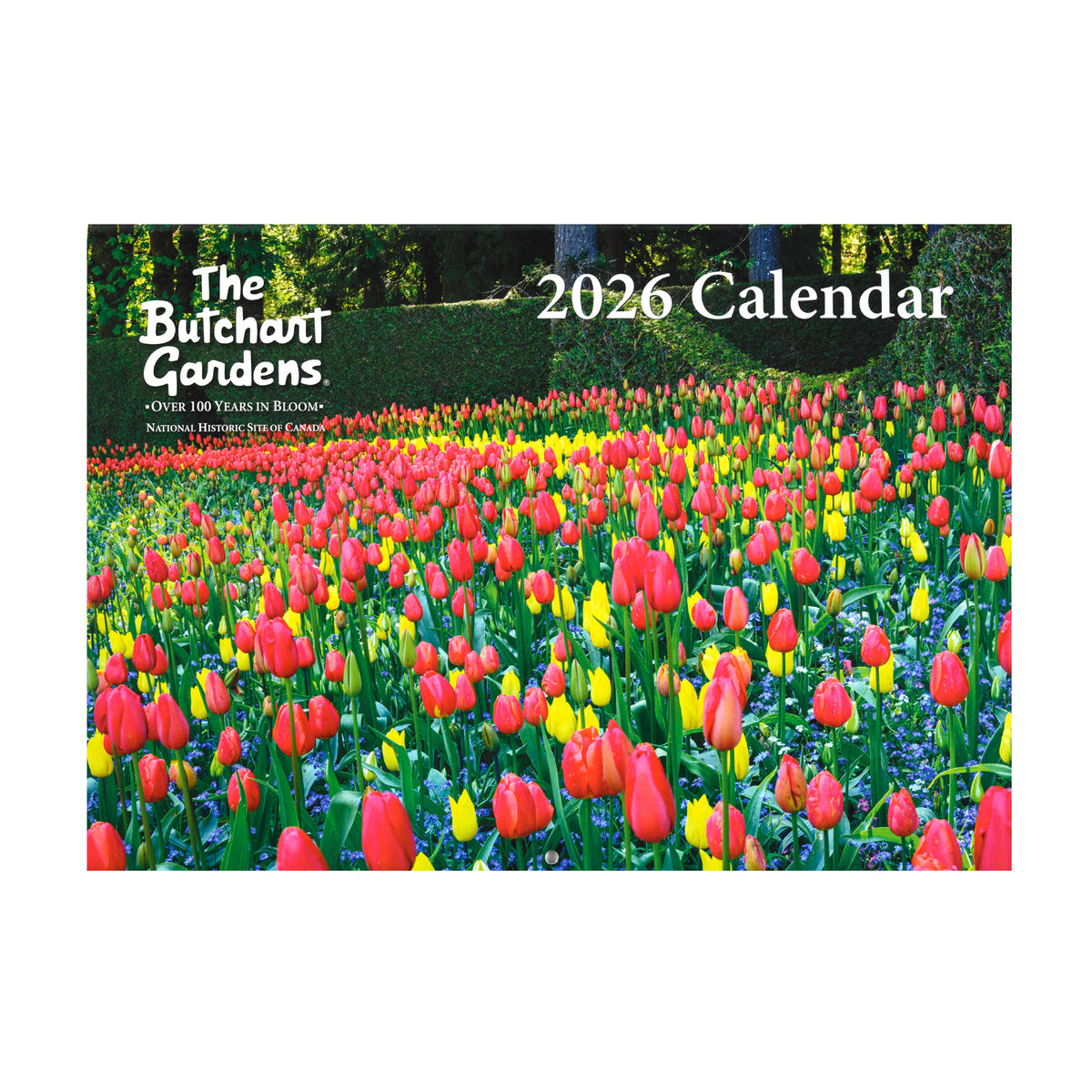CALENDAR STAPLE 2026 - ON SALE 25% OFF