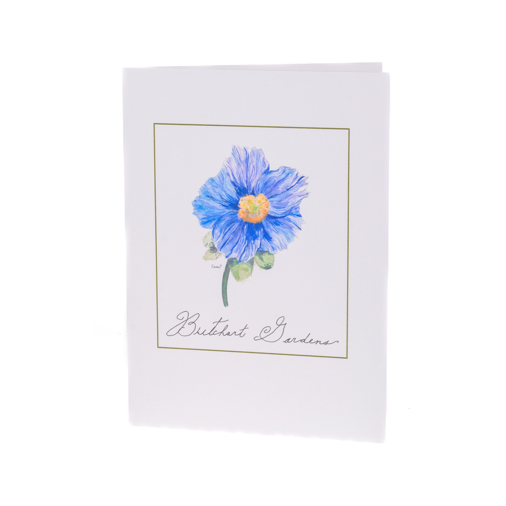 CARD BLUE POPPY