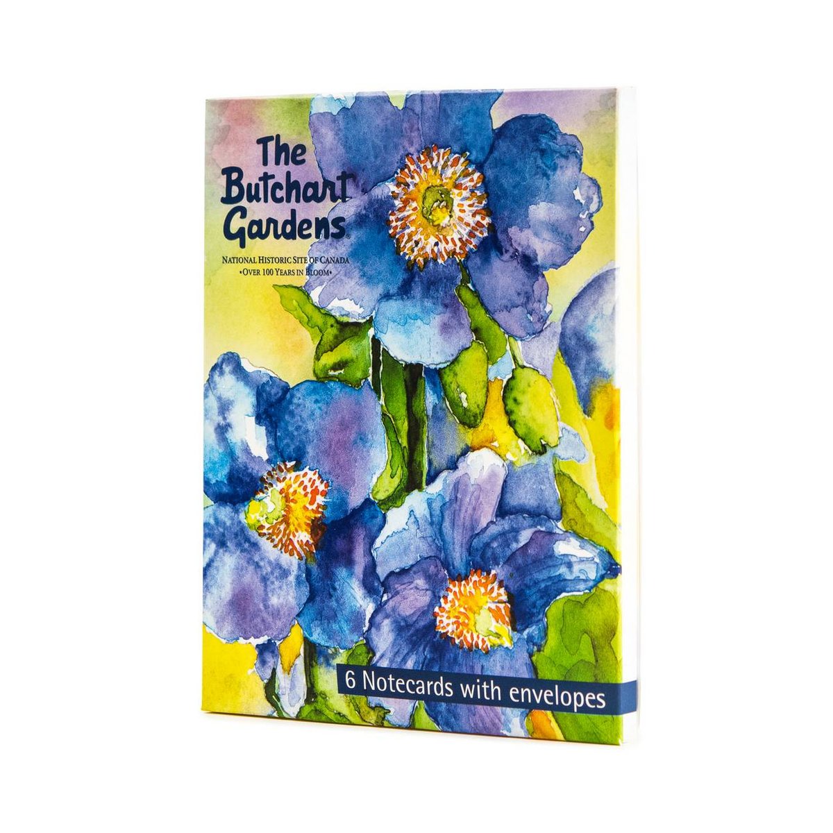 SIGNATURE SERIES NOTE CARD PACK WATERCOLOUR