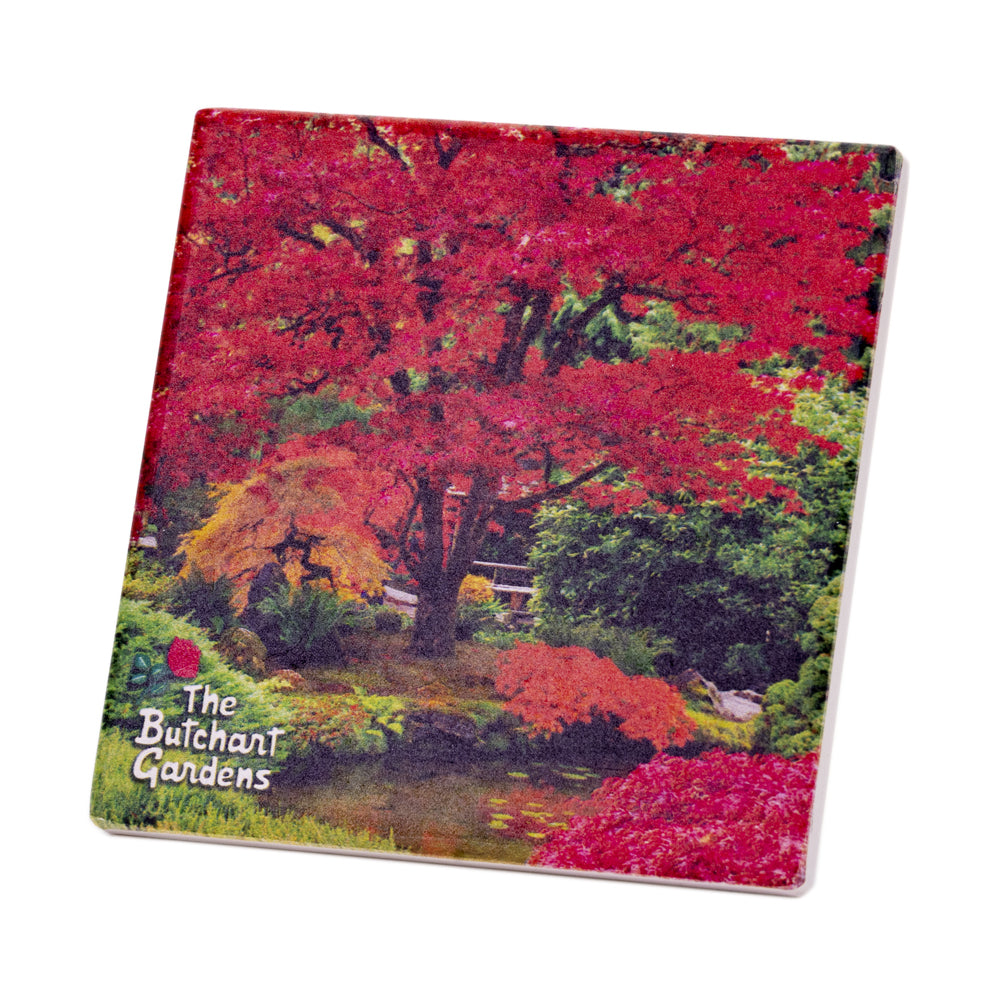 COASTER ABSORB JAPANESE GARDEN