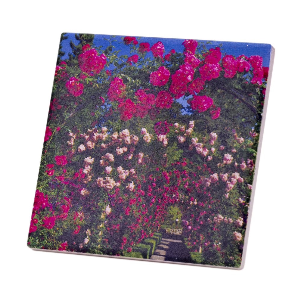 COASTER ABSORB ROSE GARDEN