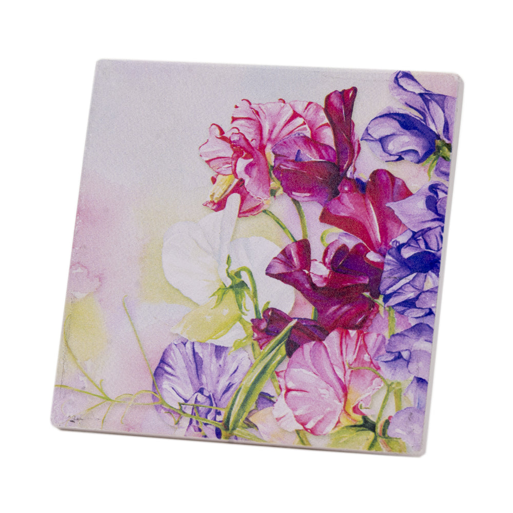 COASTER ABSORB SWEET PEA WATERCOLOUR