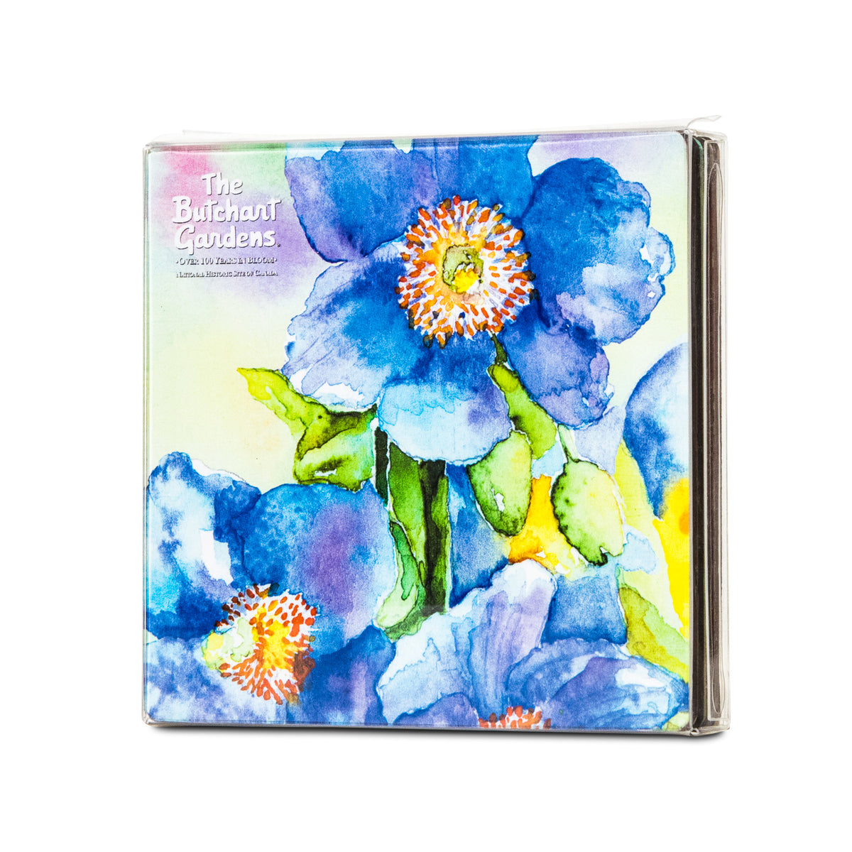 COASTER BUTCHART GARDENS WATERCOLOUR SET 4