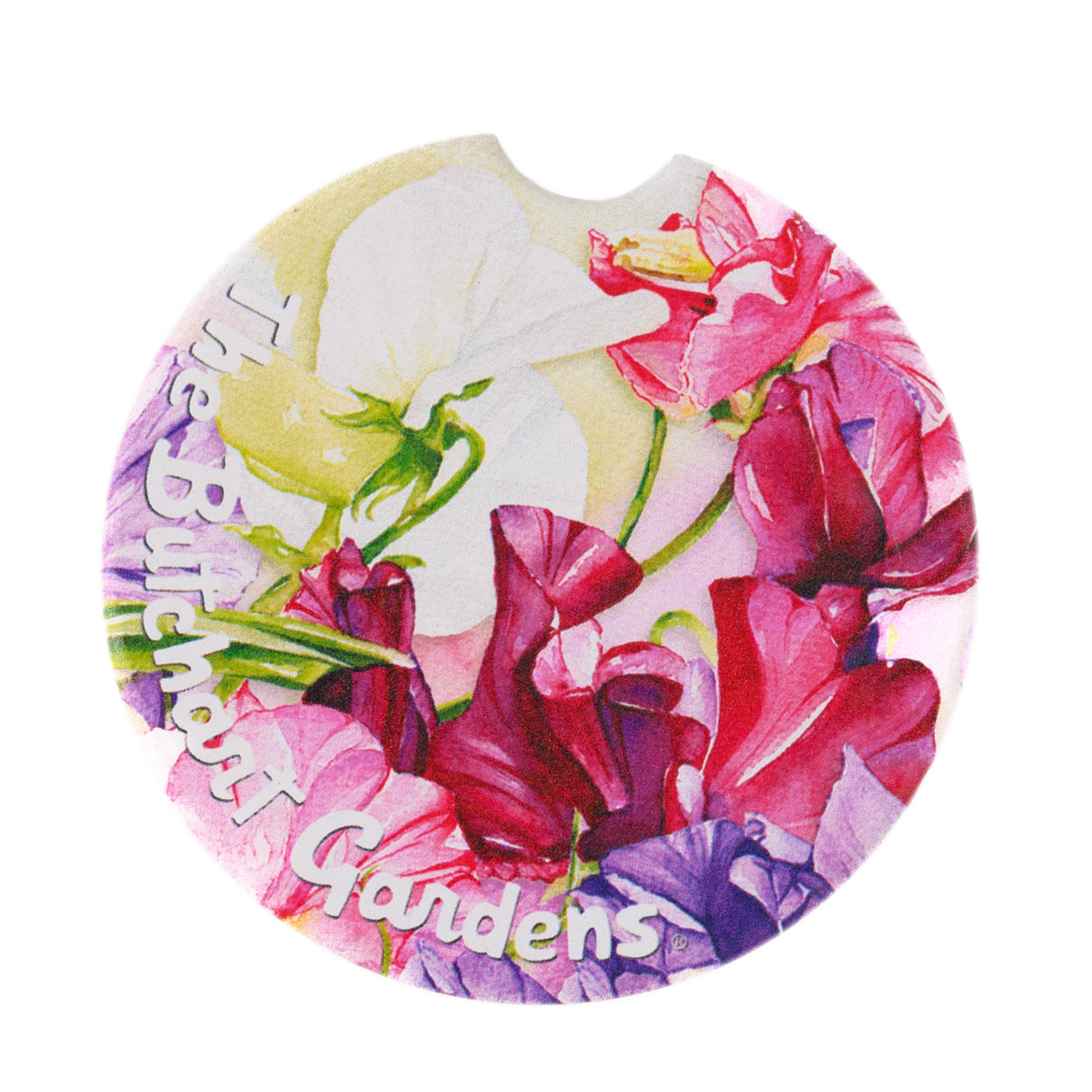 CAR COASTER SWEET PEA WATERCOLOUR
