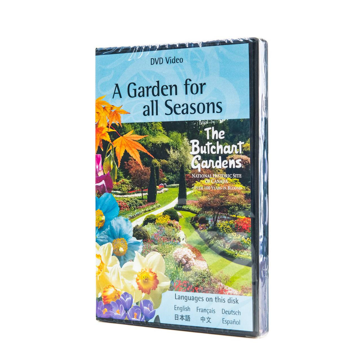 DVD BG STANDARD DEFINITION