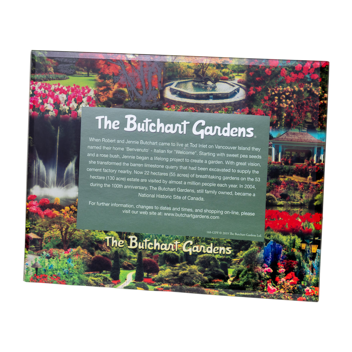 FRAME BG PHOTO GLASS 4X6