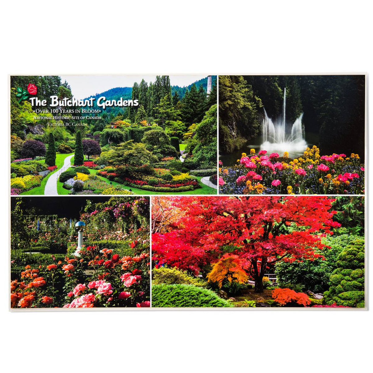 BUTCHART GARDENS PLACEMAT SUNKEN GARDEN/MULTI