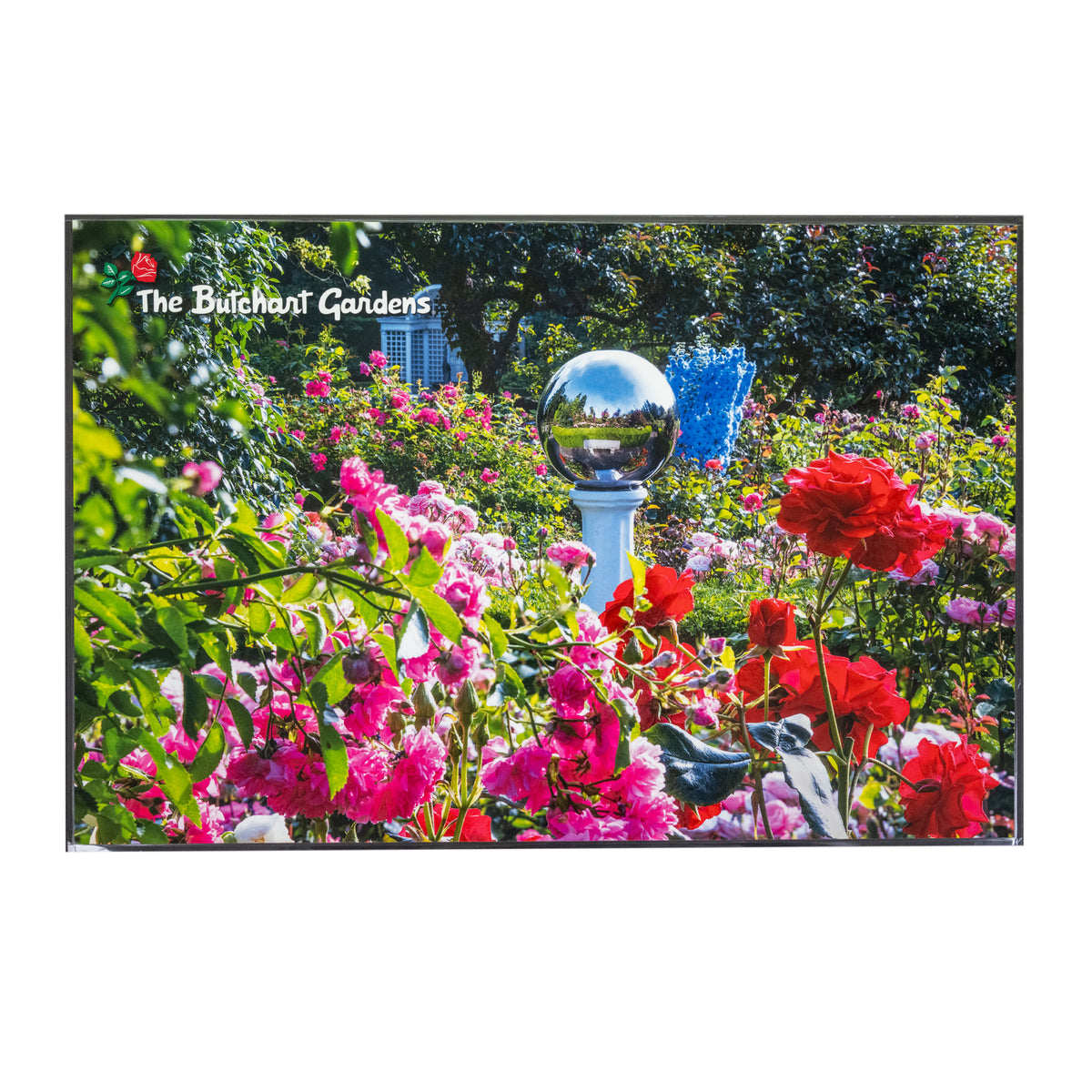 BUTCHART GARDENS PLACEMAT ROSE GARDEN/MULTI