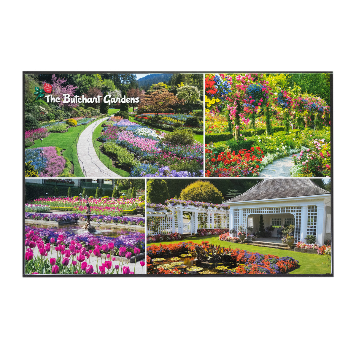 BUTCHART GARDENS PLACEMAT ROSE GARDEN/MULTI