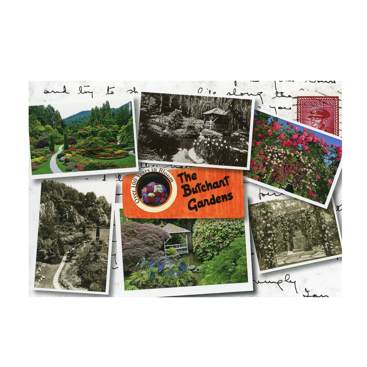 POSTCARD COLLAGE 'BEFORE AND AFTER'