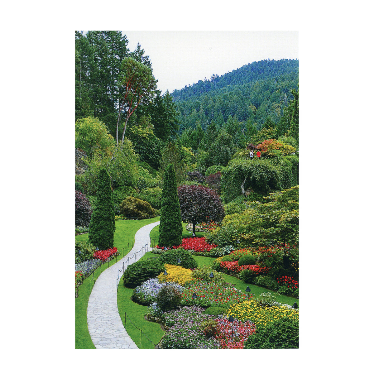 POSTCARD THE SUNKEN GARDEN VERTICAL 4 X 6