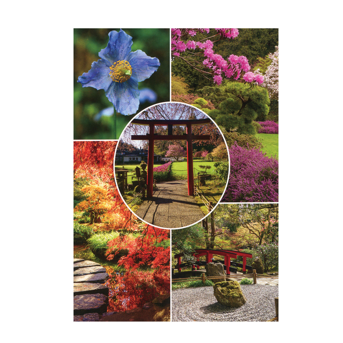 POSTCARD GARDENS & TORII GATE