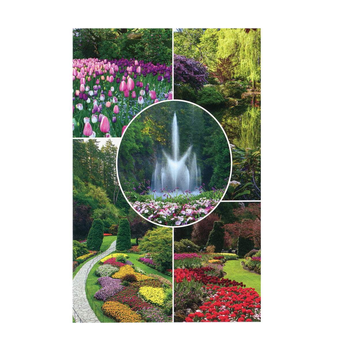 POSTCARD GARDENS & ROSS FOUNTAIN