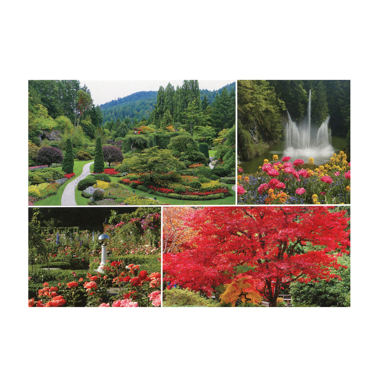 POSTCARD GARDENS & ROSS FOUNTAIN