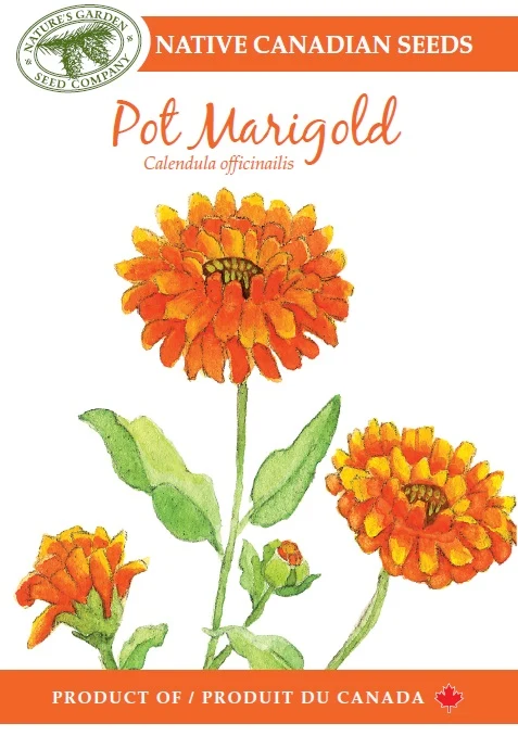 SEEEDS POT MARIGOLD