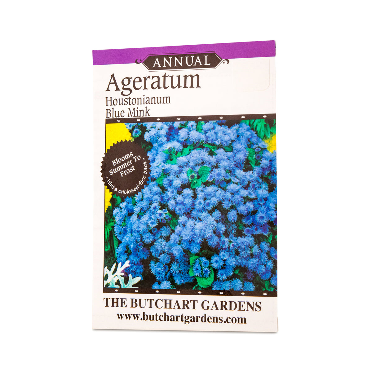 SEED AGERATUM