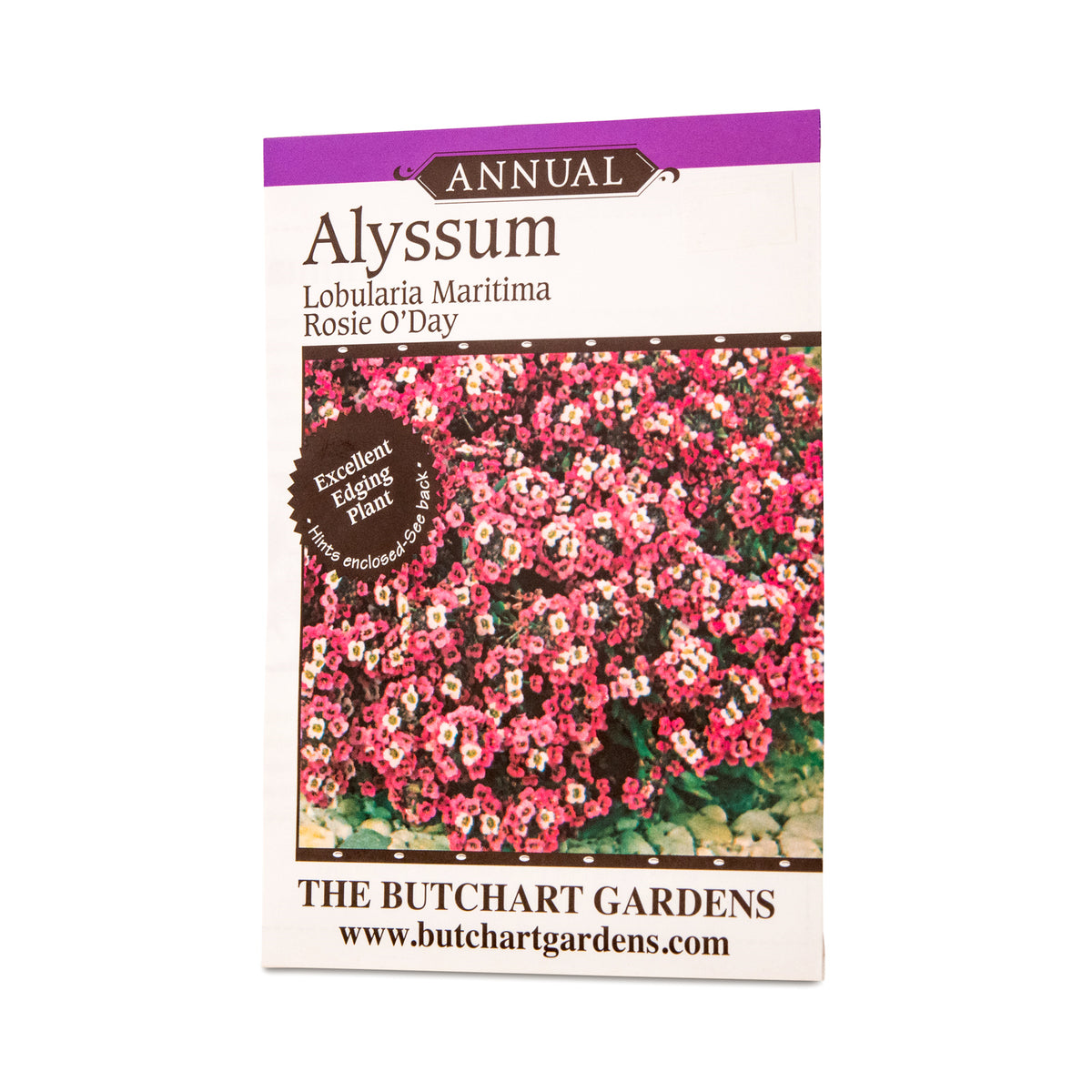 SEED ALYSSUM ROSIE O DAY