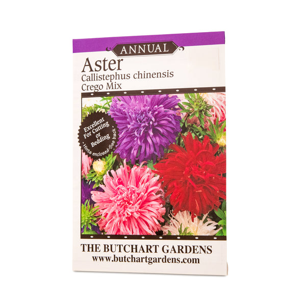 SEED ASTER