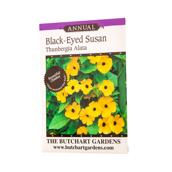 SEED BLACK EYED SUSAN