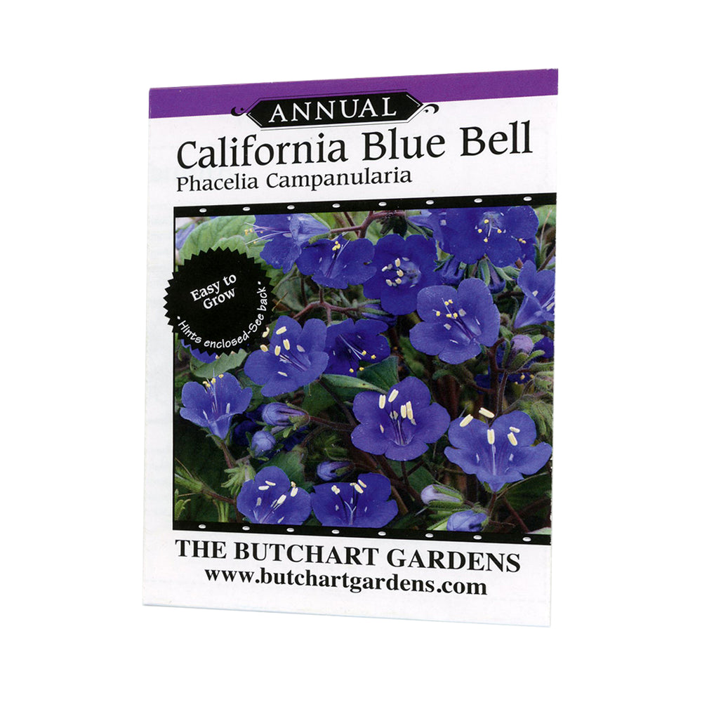 SEED CALIFORNIA BLUE BELL