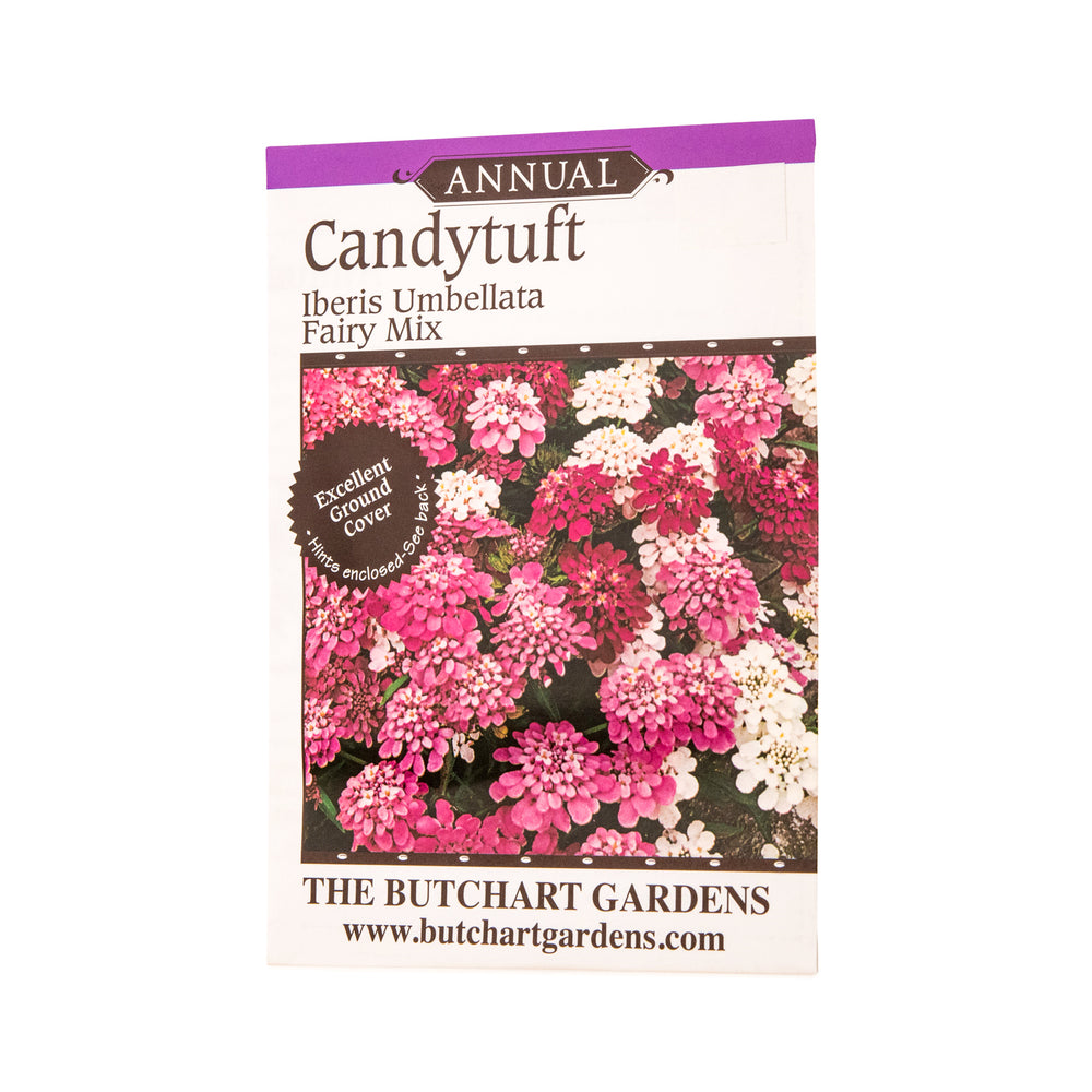 SEED CANDYTUFT FAIRY MIX
