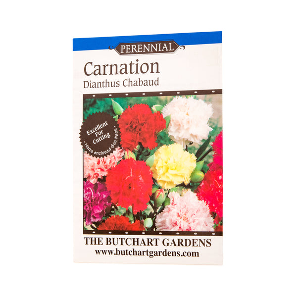 SEED CARNATION