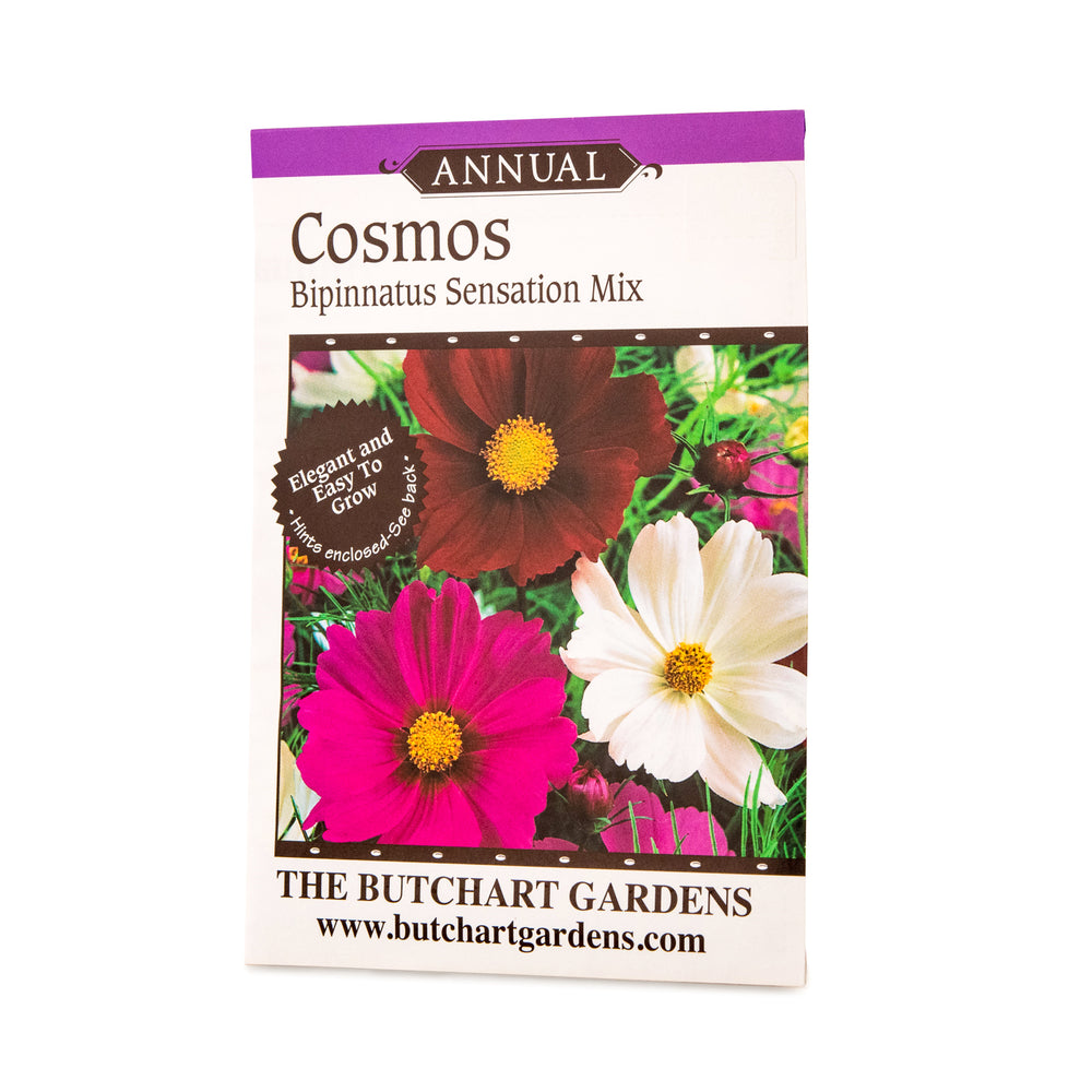 SEED COSMOS