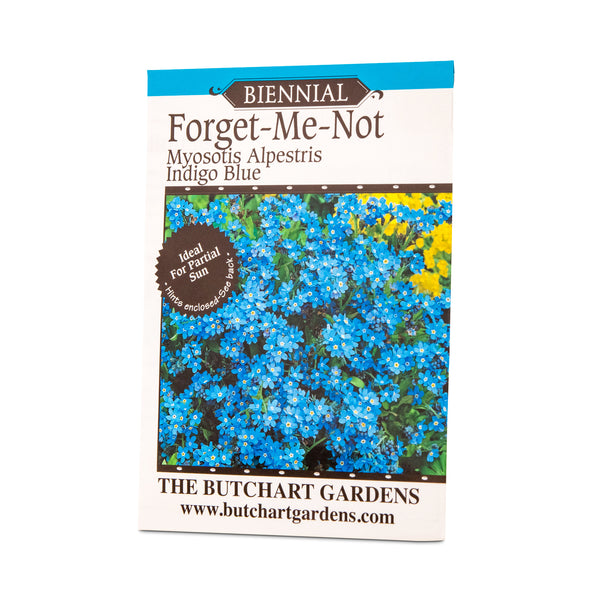 SEED FORGET ME NOT INDIGO BLUE