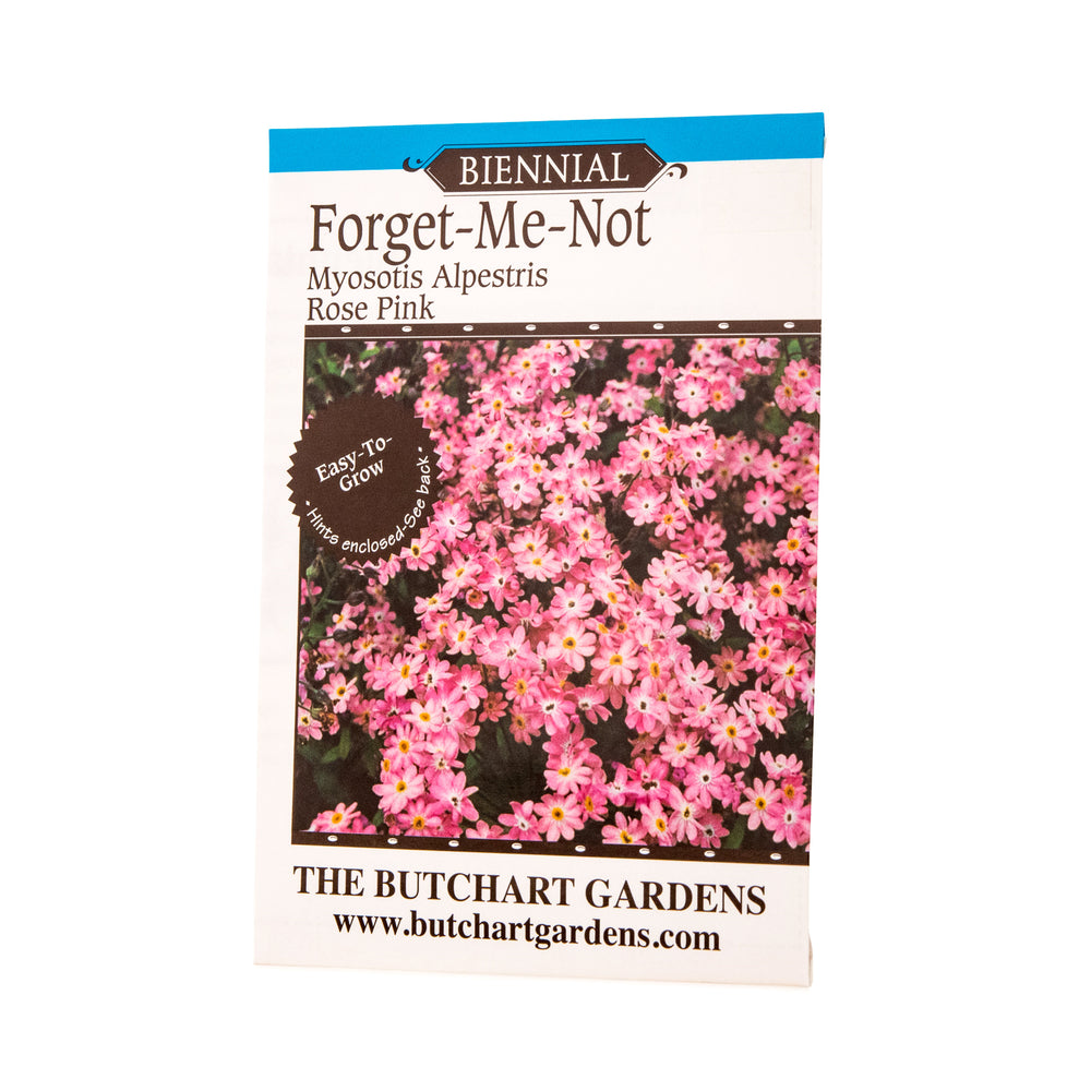 SEED FORGET ME NOT ROSE PINK