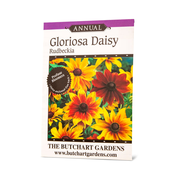 SEED GLORIOSA DAISY