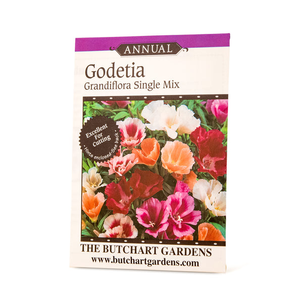 SEED GODETIA SINGLE