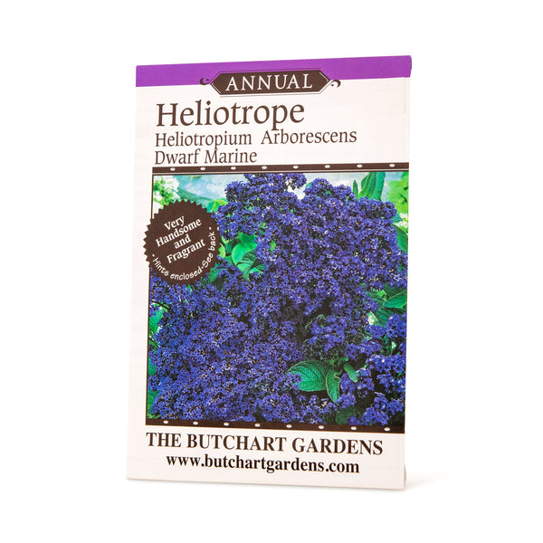 SEED HELIOTROPE