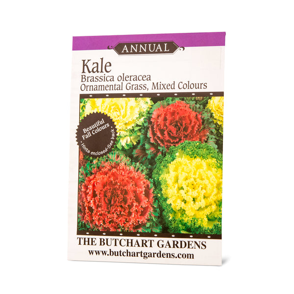 SEED KALE