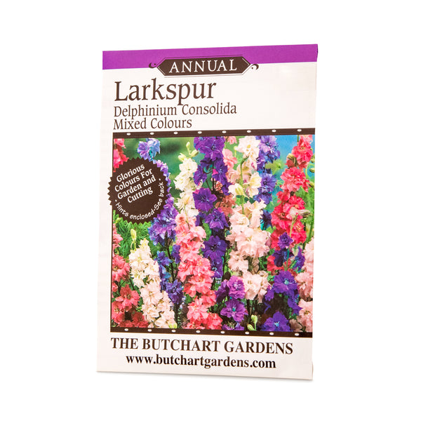 SEED LARKSPUR