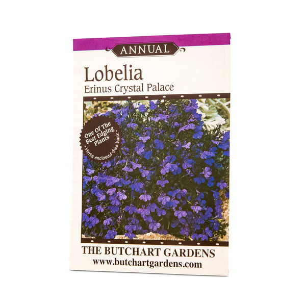 SEED LOBELIA CRYSTAL PALACE