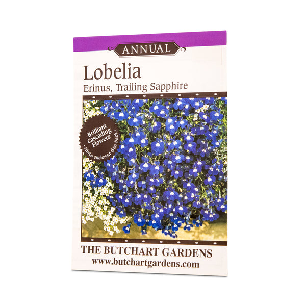 SEED LOBELIA TRAILING SAPPHIRE