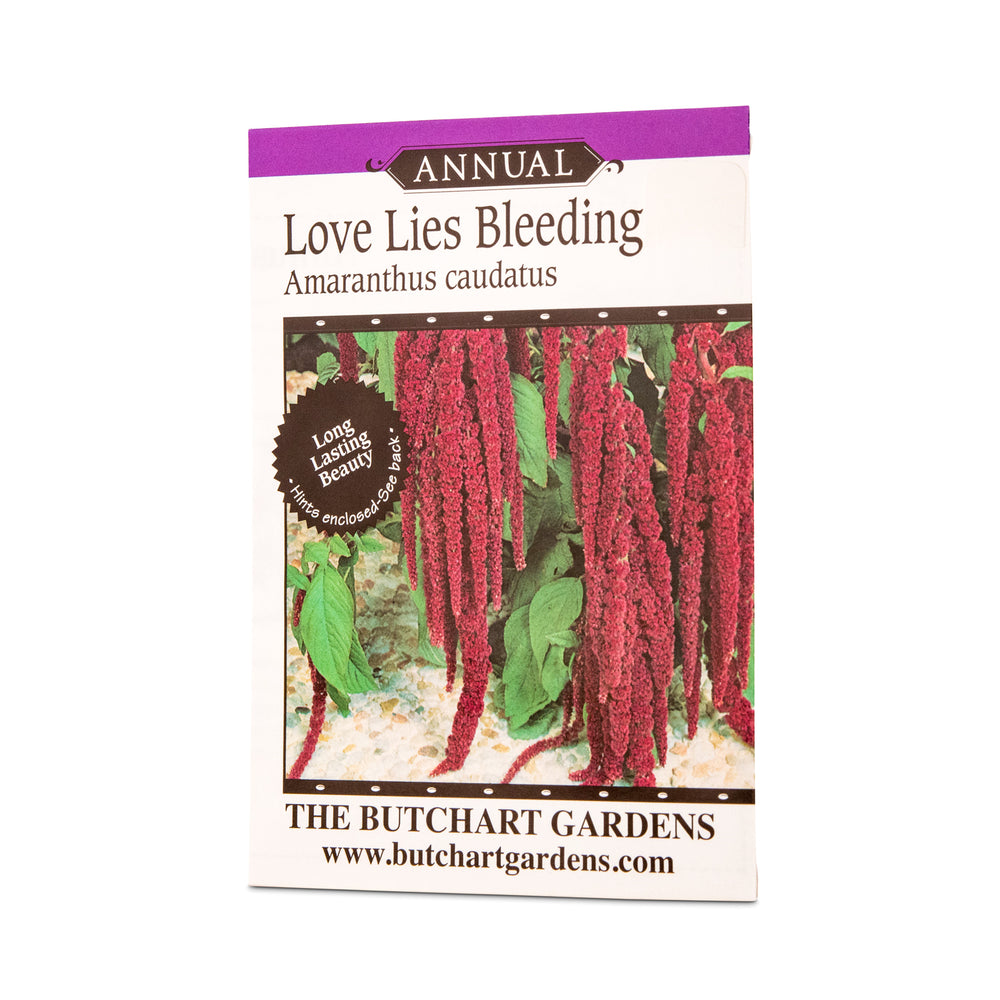 SEED LOVE LIES BLEEDING