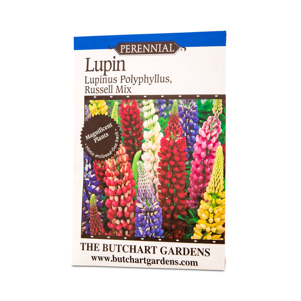 SEED LUPIN